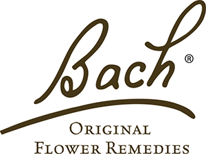 bach-logo.png